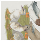 Saxony Duck Family Stoff (Nahaufnahme)