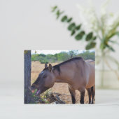 Say aaah postkarte (Stehend Vorderseite)