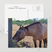 Say aaah postkarte (Vorne/Hinten)
