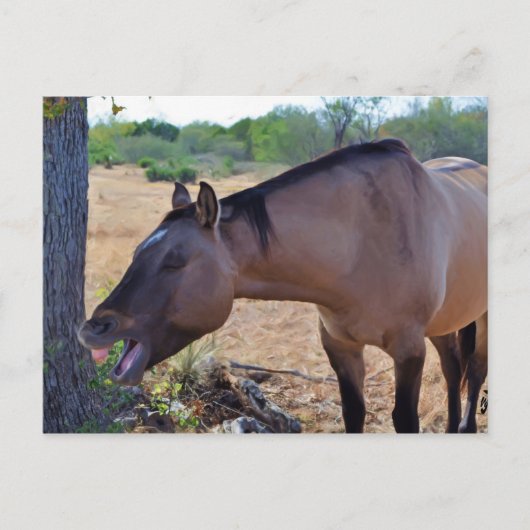 Say aaah postkarte (Vorderseite)