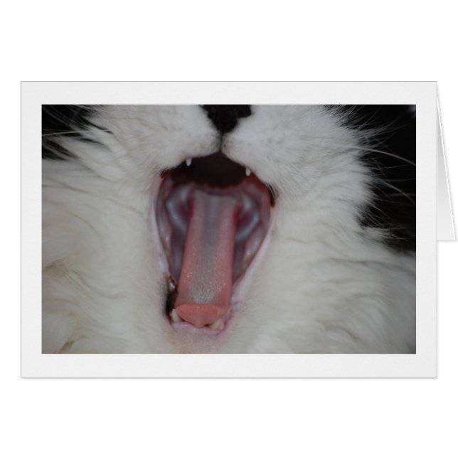 Say Ah/Zahnarzt Spaß (Vorderseite (Horizontal))