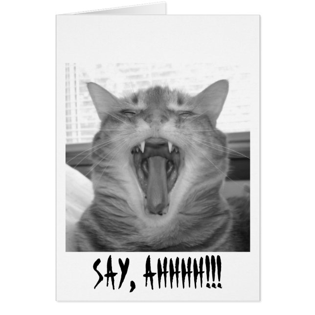 SAY, AHHHH!! (Vorne)