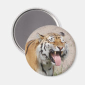 Say AHHHH Magnet (Vorderseite/Rückseite)