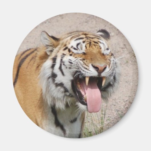 Say AHHHH Magnet (Vorne)