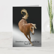 Say Buck it Retirement