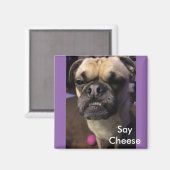 Say Cheese Magnet (Vorderseite/Rückseite)