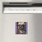 Say Cheese Magnet (In Situ (Geschirrspüler))