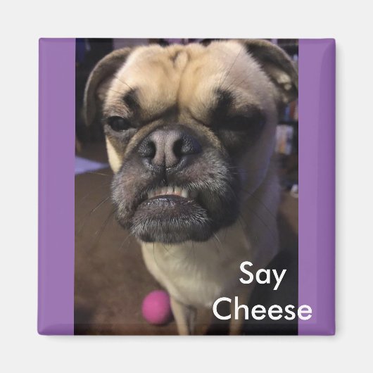 Say Cheese Magnet (Vorne)