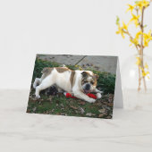 Say Mercy! Karte (Gelbe Blume)