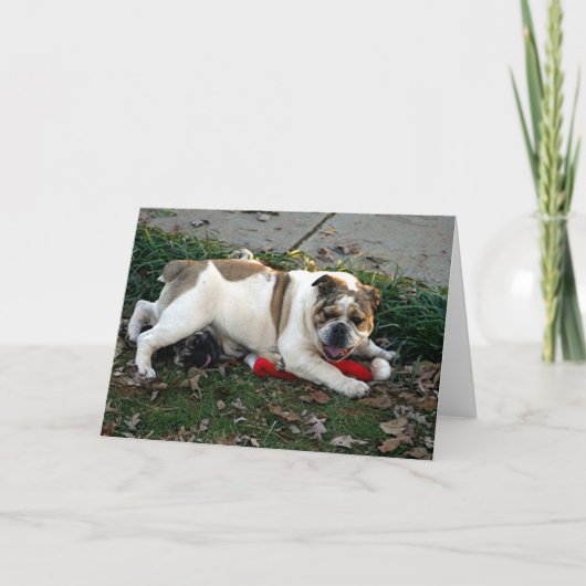 Say Mercy! Karte (Vorderseite)