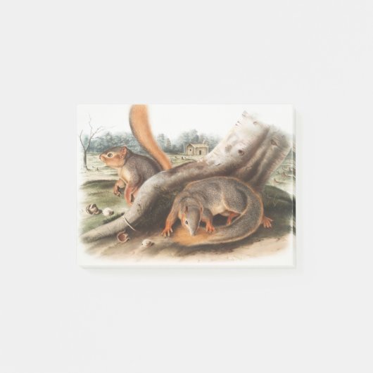 Say Squirrel Girl Boy Pet Giftssquirrel Feeder Post-it Klebezettel (Vorderseite)