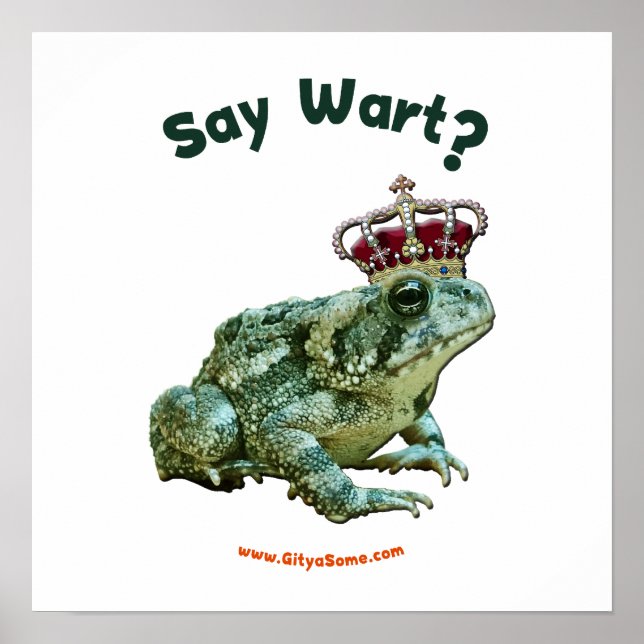 Say Wart Frog Toad Prince Poster (Vorne)