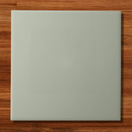 Saybrook Sage Solid Color Fliese