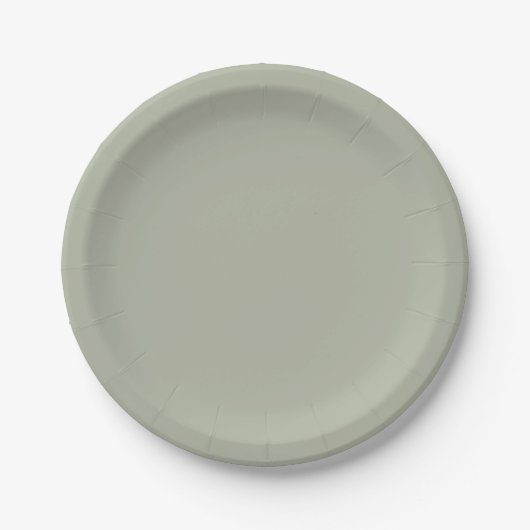 Saybrook Sage Solid Color Pappteller (Vorderseite)