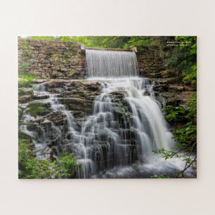 Saylorsville Dam - 3/2019 16"x20" Oversized Stcs Puzzle