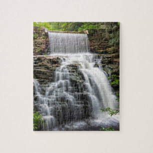 Saylorsville Dam - März 2019 8"x10" Puzzle