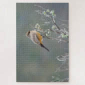 Say's Phoebe in the Sage Puzzle (Vertikal)