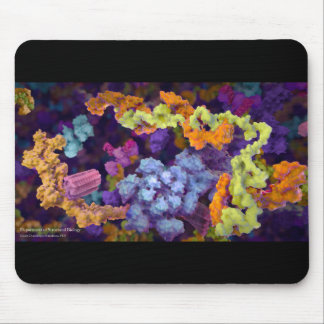 SB Mouse pad Mousepad