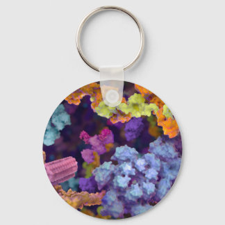 SB-Schlüsselanhänger Schlüsselanhänger