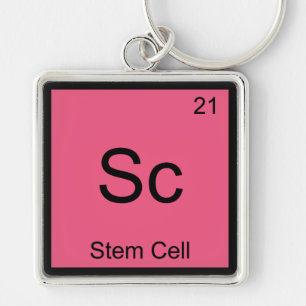 Sc - Stammzelle Lustiges Chemie-Element-Symbol-T-S Schlüsselanhänger