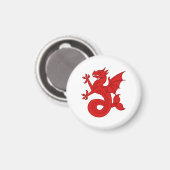 SCA Seashire Magnet (Vorderseite/Rückseite)