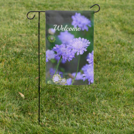 Scabiosa Butterfly Blue