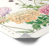 Scabiosa, Montbretia, Tanigami Konan Poster (Ecke)
