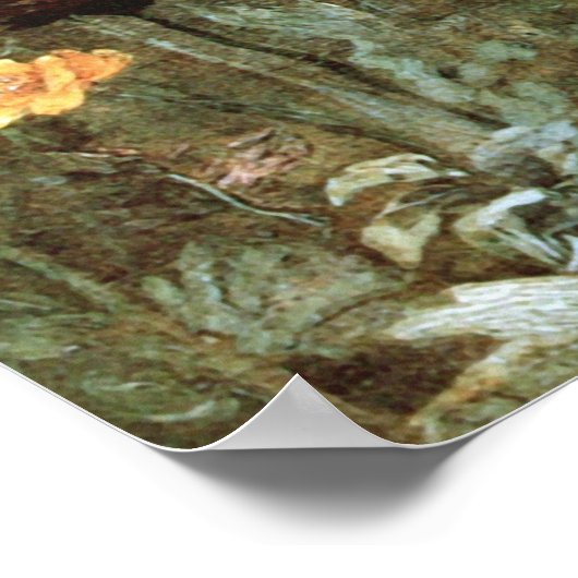 Scabiosa Ranunculus Van Gogh Fine Art Poster (Ecke)