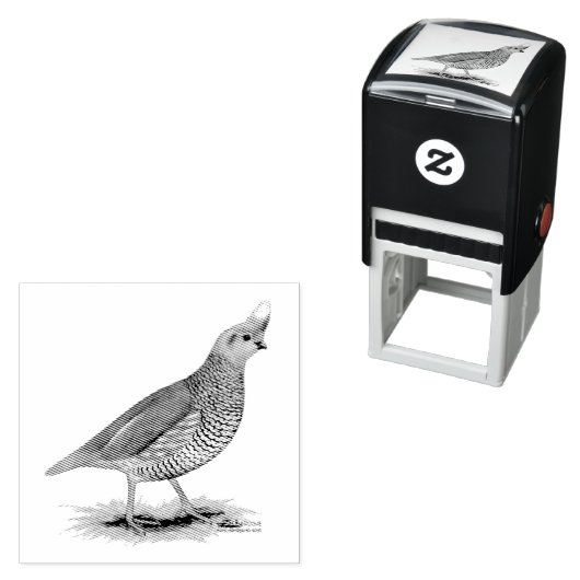 Scaled Quail Permastempel (Beispiel)