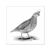 Scaled Quail Permastempel (Design)