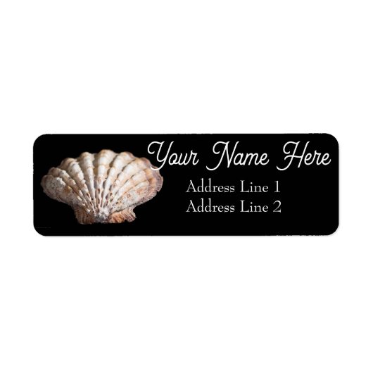 Scallop 3 236 (Vorne)