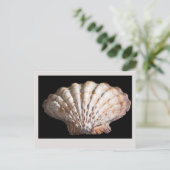 Scallop 3 236 postkarte (Stehend Vorderseite)