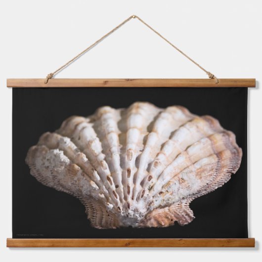 Scallop 3 236 wandteppich mit holzrahmen (Vorne)