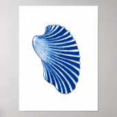 Scallop-Muschel, Indigo Blau und Weiß Poster (Vorne)