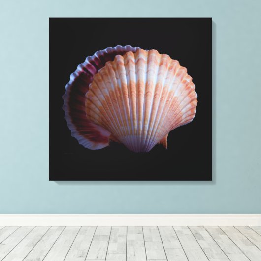 Scallop-Muschel Leinwanddruck (Insitu (Holzboden))