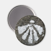 Scallop Muschel Magnet (Vorderseite/Rückseite)