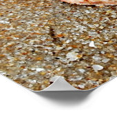 Scallop-Muschel Poster (Ecke)