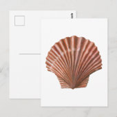 Scallop-Muschel Postkarte (Vorne/Hinten)