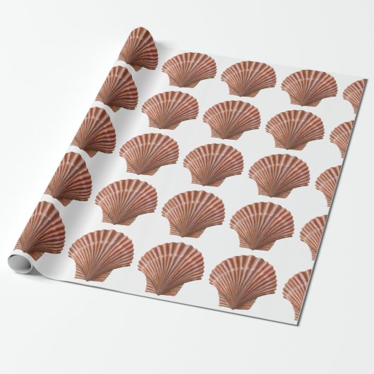 Scallop-Muscheln Geschenkpapier (Ungerollt)