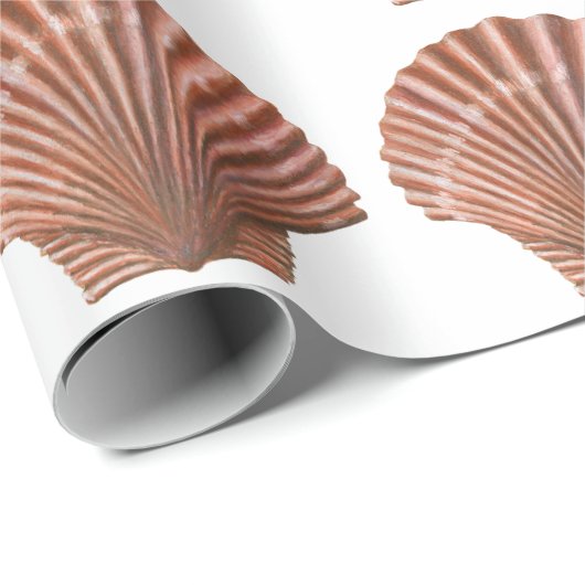 Scallop-Muscheln Geschenkpapier (Rolleneckpunkt)