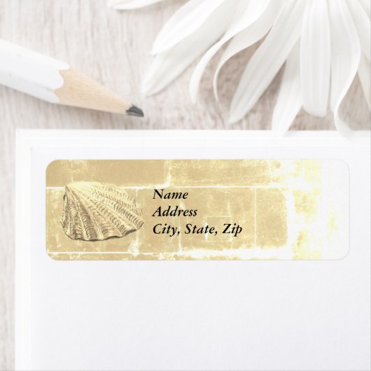 Scallop Seashell auf Sand (Insitu)