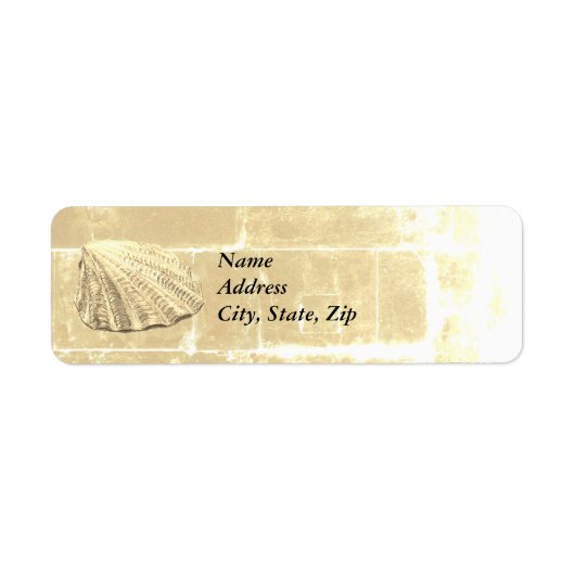 Scallop Seashell auf Sand (Vorne)