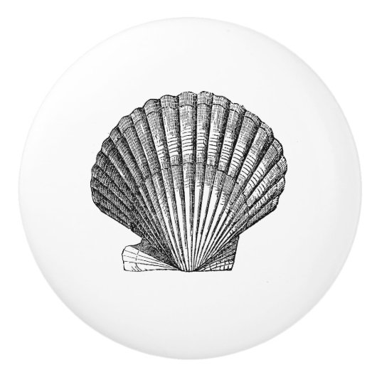 Scallop Seashell Muschel nautische See inspirierte Keramikknauf (Vorderseite)