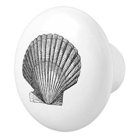 Scallop Seashell Muschel nautische See inspirierte Keramikknauf (Rechts)