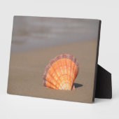 Scallop Shell | Crete, Greece Fotoplatte (Seite)