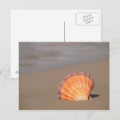 Scallop Shell | Crete, Greece Postkarte (Vorne/Hinten)