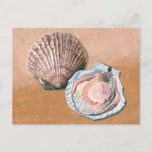 Scallop Stillleben Postkarte