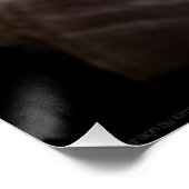 Scallop, Whelk, Sea Star Poster (Ecke)