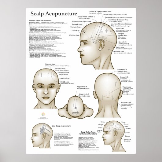 Scalp Head Acupuncture Points Poster (Vorne)