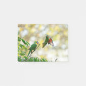Scaly gebrannt und Regenbogen Lorikeet. Post-it Klebezettel (Vorderseite)